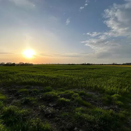 8 Person In Haderslev-by Traum Semesterbostad *